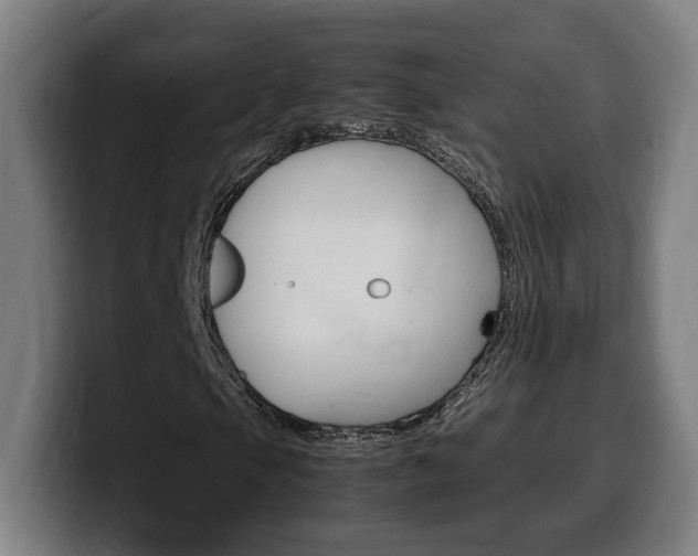 X0000099491105200805150922