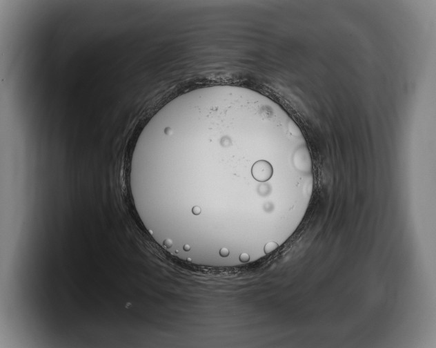 X0000099491106200805150922