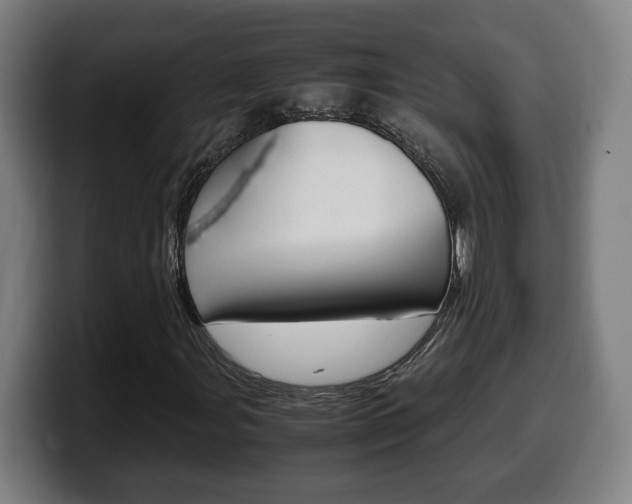 X0000099491107200805150922