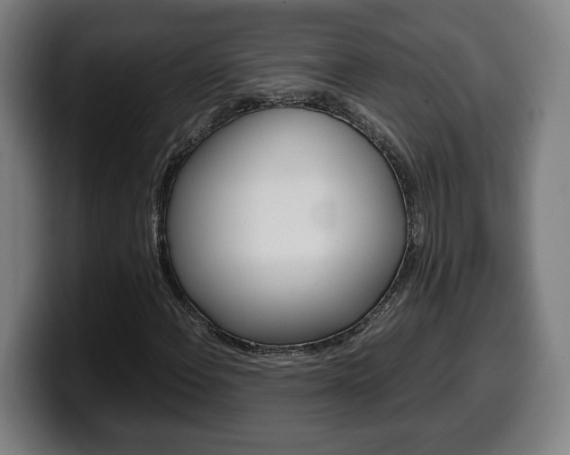 X0000099491108200805150922