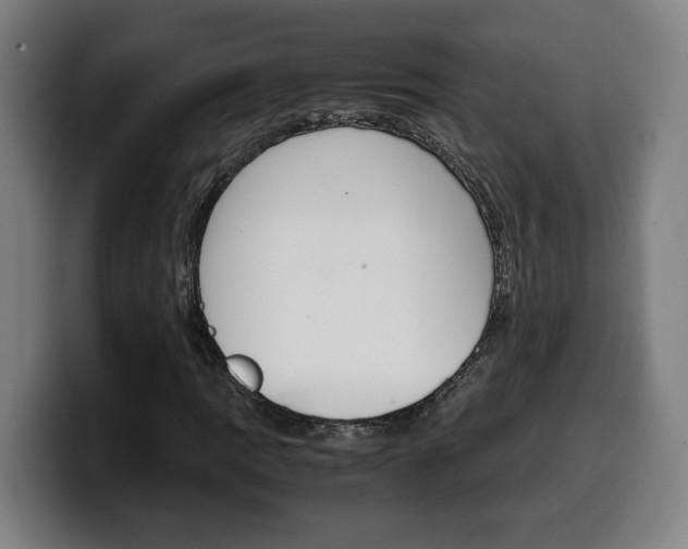 X0000099491109200805150922