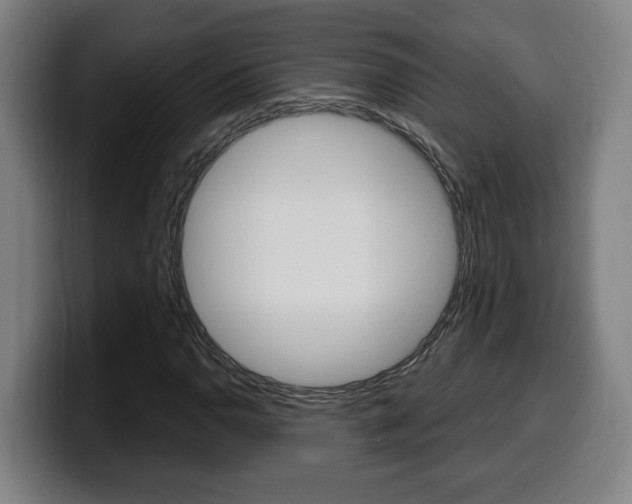 X0000099491110200805150922