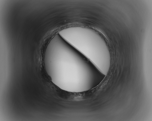 X0000099491111200805150922