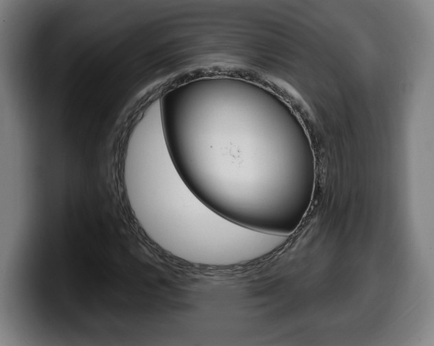X0000099491112200805150922