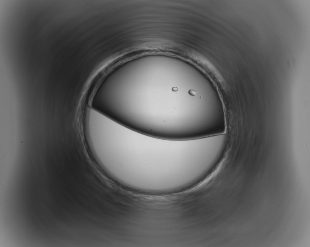 X0000099491114200805150922