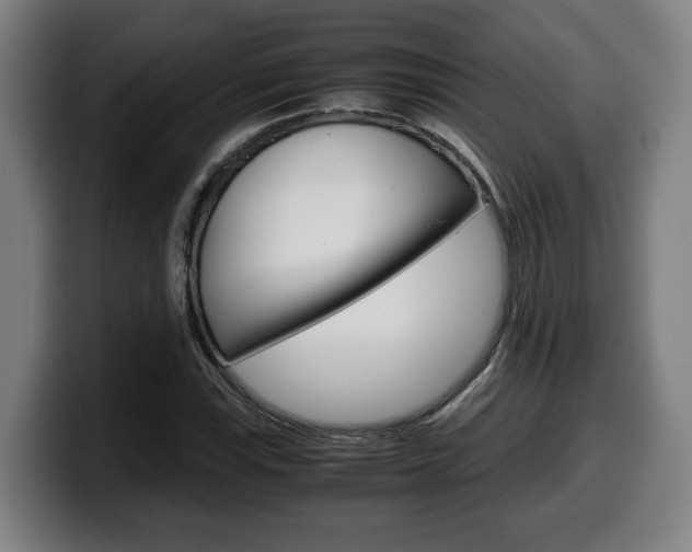 X0000099491115200805150922