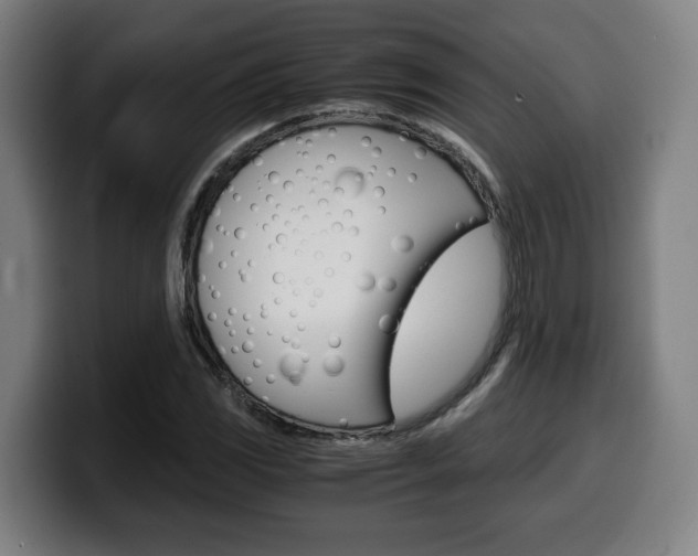 X0000099491117200805150922