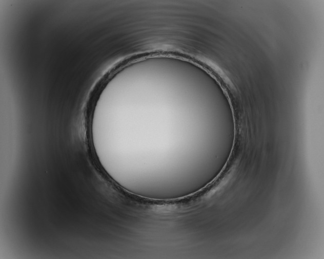 X0000099491118200805150922