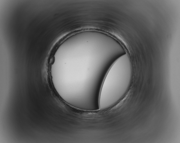X0000099491119200805150922