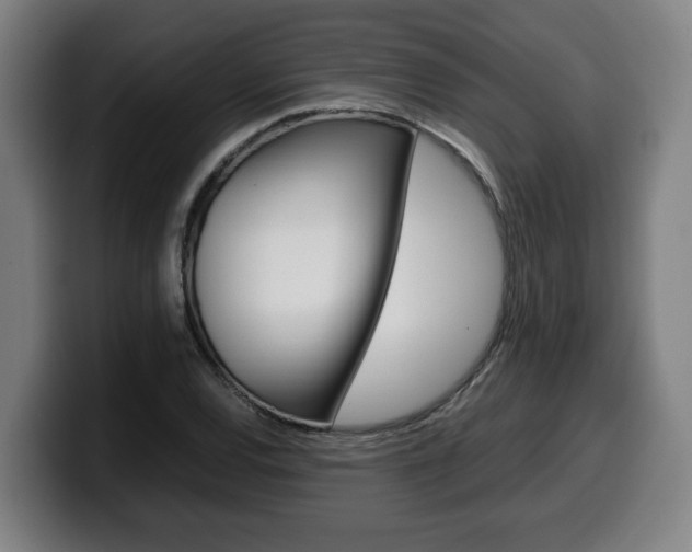 X0000099491120200805150922