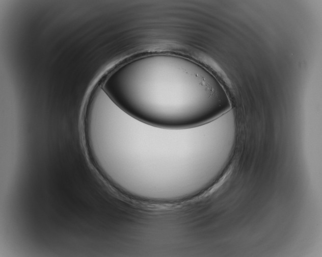 X0000099491122200805150922