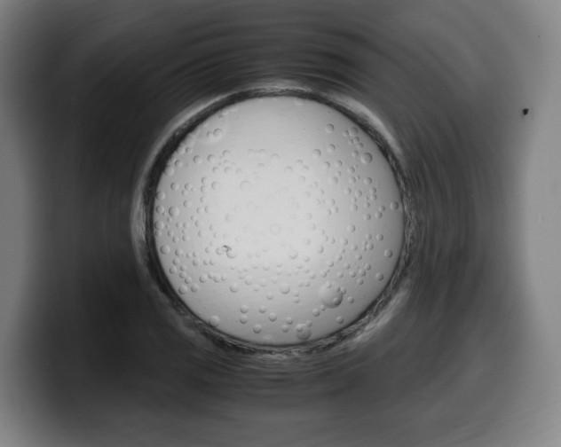 X0000099491125200805150922