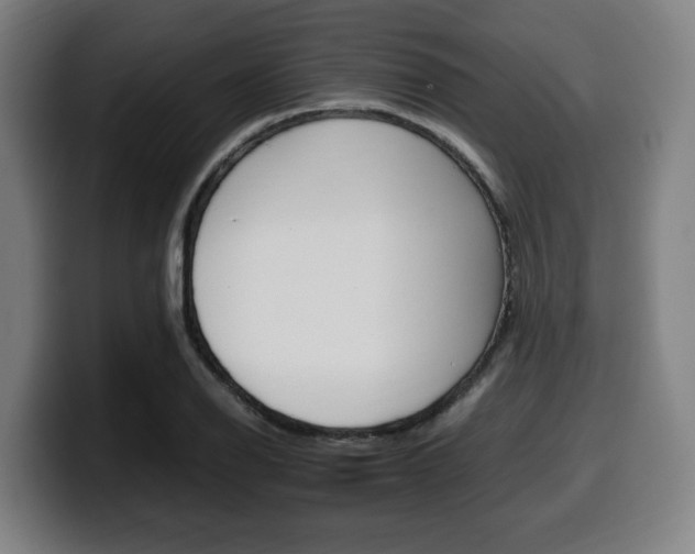 X0000099491126200805150922