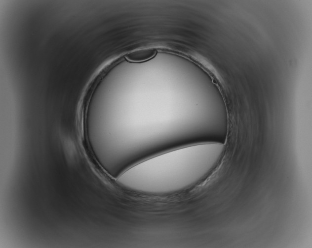 X0000099491127200805150922