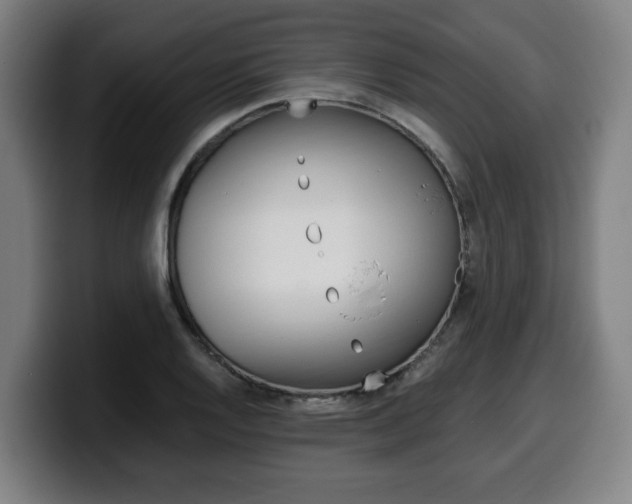 X0000099491128200805150922