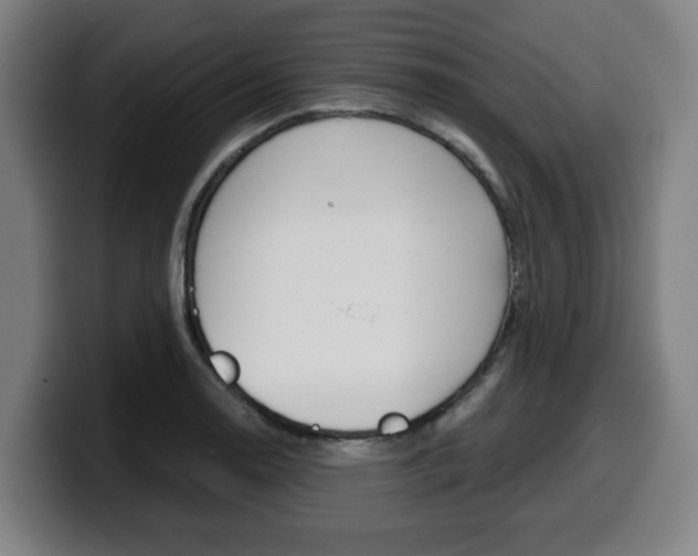 X0000099491130200805150922