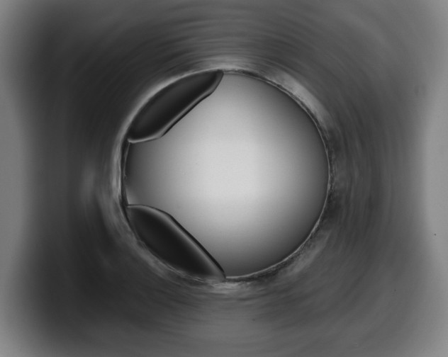 X0000099491132200805150922