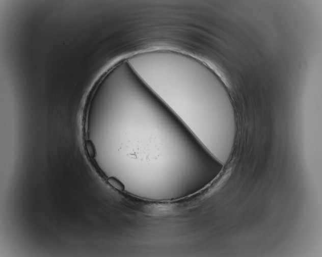 X0000099491134200805150922
