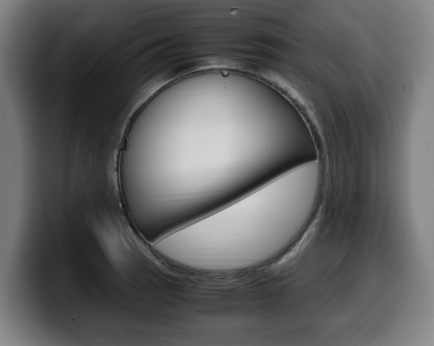 X0000099491137200805150922