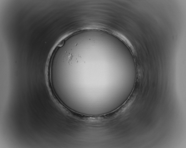 X0000099491138200805150922