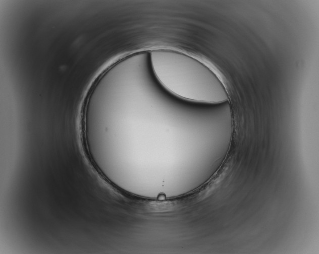 X0000099491142200805150922