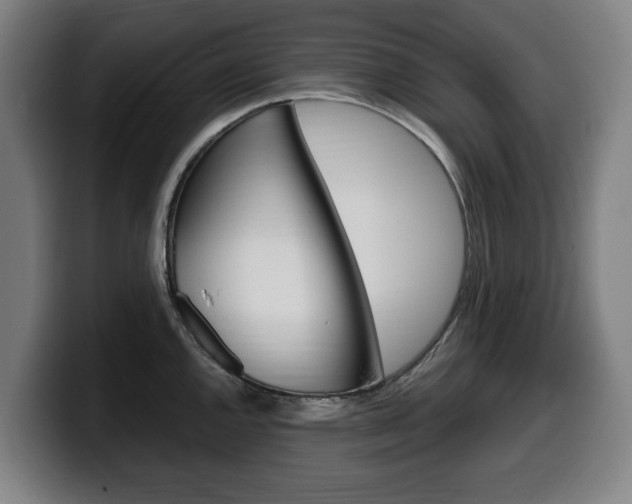 X0000099491144200805150922
