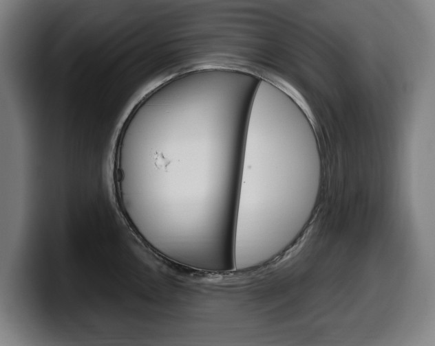 X0000099491146200805150922