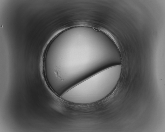 X0000099491147200805150922