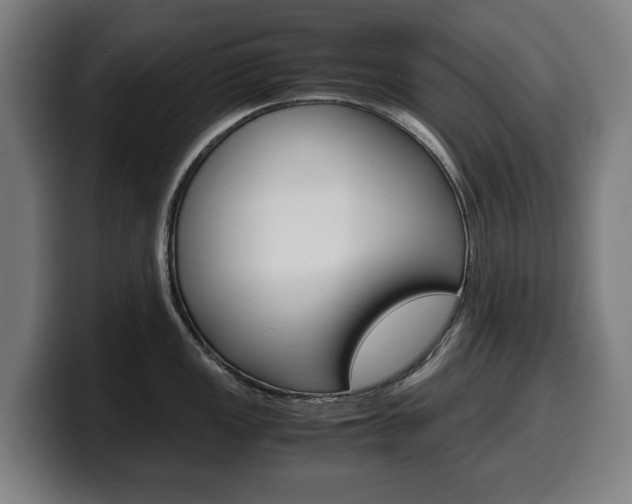 X0000099491149200805150922