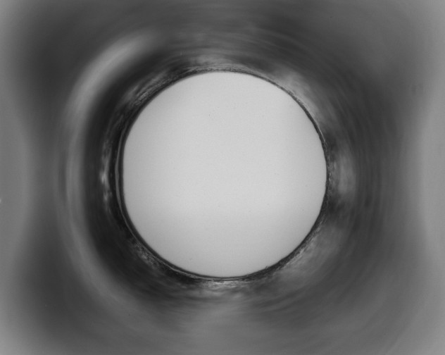 X0000099491150200805150922