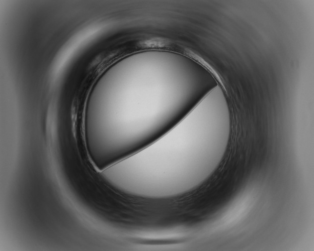X0000099491151200805150922