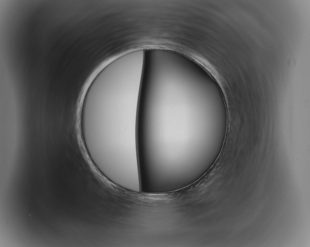 X0000099491152200805150922