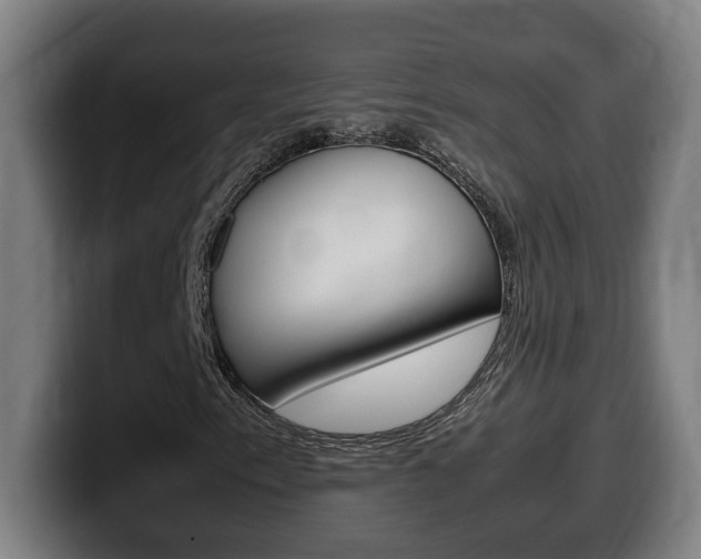 X0000099491153200805150922