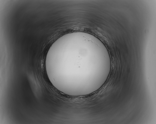X0000099491154200805150922