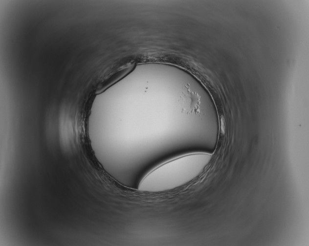 X0000099491155200805150922