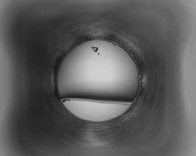 X0000099491156200805150922