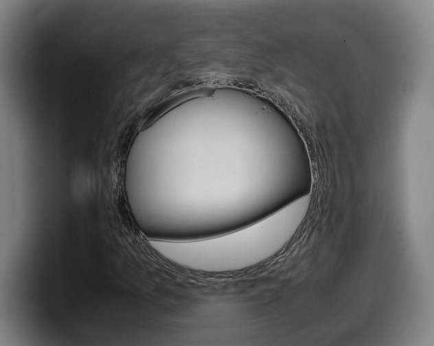 X0000099491157200805150922