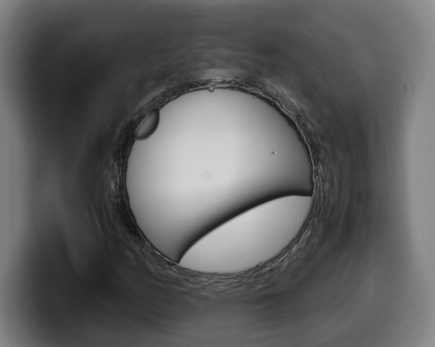X0000099491158200805150922