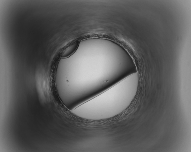 X0000099491159200805150922