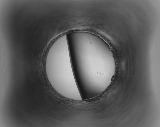 X0000099491160200805150922