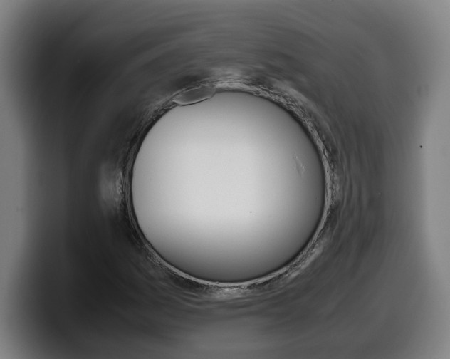 X0000099491161200805150922