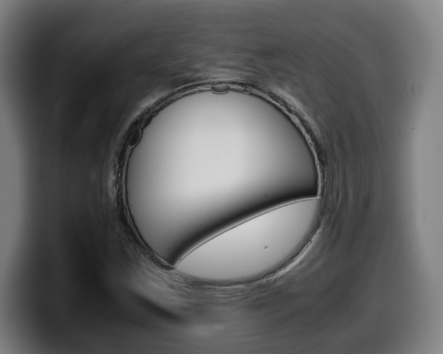 X0000099491163200805150922