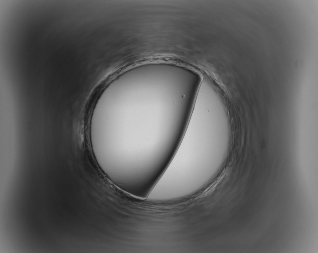 X0000099491165200805150922