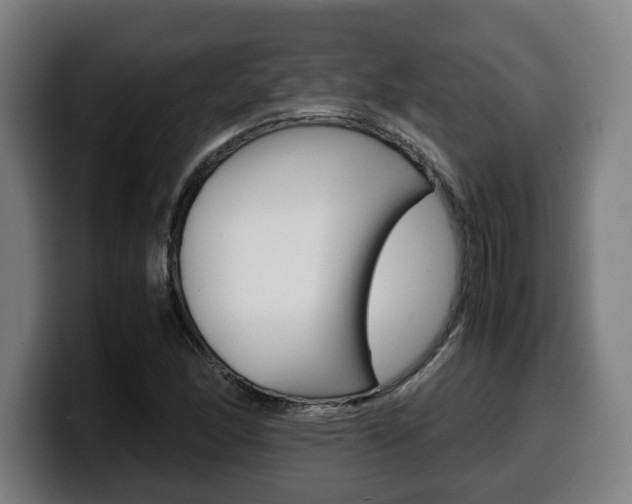 X0000099491166200805150922