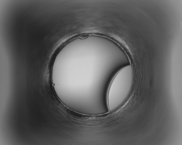 X0000099491167200805150921