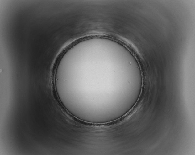 X0000099491168200805150921