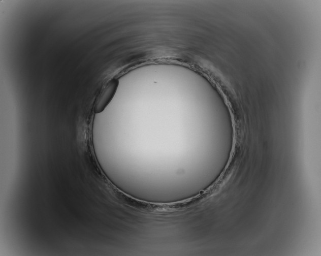 X0000099491169200805150921