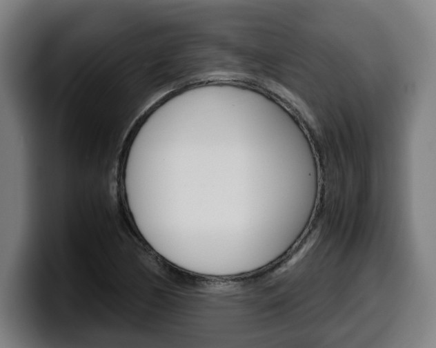 X0000099491170200805150921