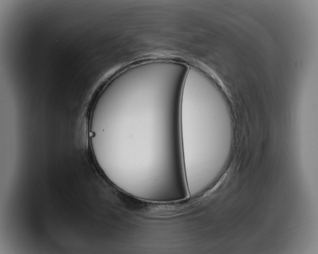 X0000099491171200805150921