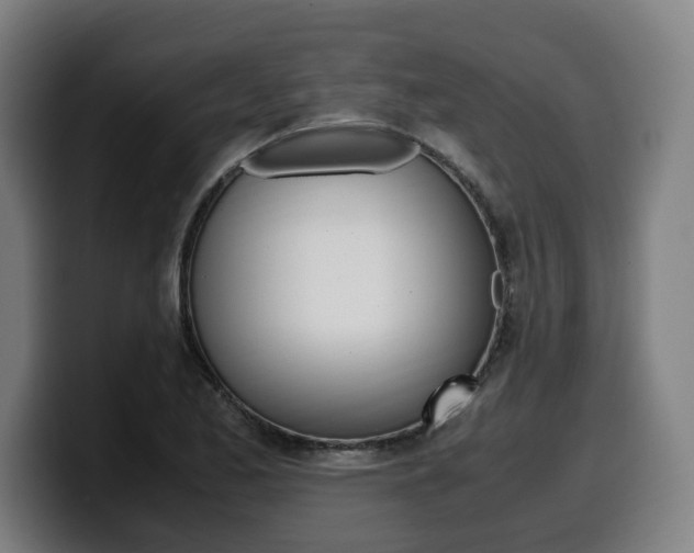 X0000099491173200805150921